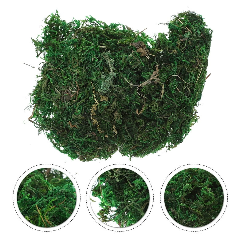 20g Moss for Potted Plants Artificial Moss for Fake Plants Faux
