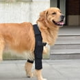 thumbnail image 5 of Coderas protectoras transpirables para perros que brindan soporte para codos y hombros. Higroma de codo canino, displasia, osteoartritis., 5 of 5