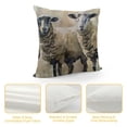 thumbnail image 4 of Ollo0ord Decorative Throw Pillow Cover Sketch Farm Suffolk Sheep On White Abstract Adorable Baby Black Brush Linen Pillowcase Square Size Cushion Case White, 4 of 5