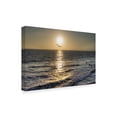 thumbnail image 2 of Trademark Fine Art 'Seagull Flying' Canvas Art by Giuseppe Torre, 2 of 3