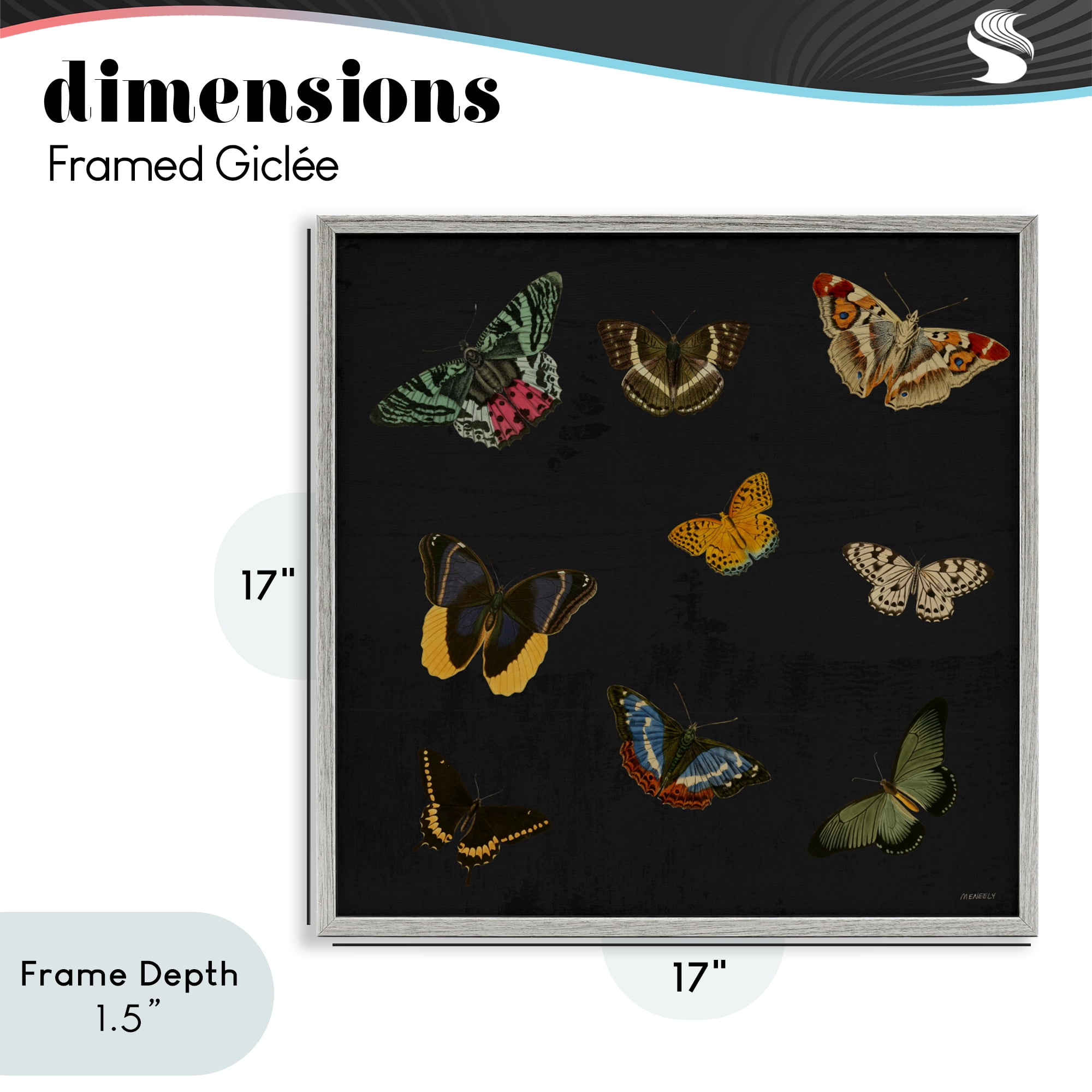 Stupell Industries Butterfly & Moth Collection Gray Framed Giclee Art, design by Dan Meneely