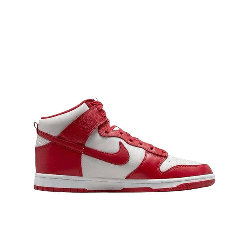 Men's Nike Dunk High (HF3143-101) - 13