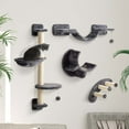 thumbnail image 2 of PawHut Cat Wall Shelf w/ Scratching Post, Play Balls, Platforms, Dark Grey, 2 of 10