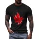 thumbnail image 3 of Camisas de Manga Corta para las Mujeres Impresión de Manga Corta Cuello Redondo, Camisa Casual de Poliéster para las Mujeres, Lavado de Manos, 3 of 7