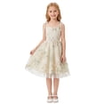 thumbnail image 4 of IBTOM CASTLE Toddler Girls 1950s Vintage Floral Embroidery Swing Dress | Retro Graduation Dress For Birthday Party Wedding Bridesmaid Communion Tulle Dresses, Sweetheart Mesh Beige, 4 of 7