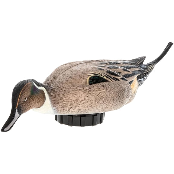 Avian-X Power Shaker Pintail Motion Duck Decoy Floating Surface Feeder, Multicolor