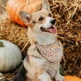 thumbnail image 5 of Fall Dog Bandana Reversible 2 Pack Small, Autumn Orange Pink Pumpkin Floral Leaves Cute Fall Pet Bandanas for Dogs Adjustable Triangle Holiday Scarves for Small Medium Boy Girl Dogs, 5 of 6