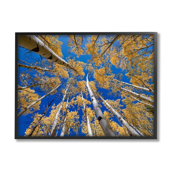 Looming Woodland Foliage Trees Landscape Photograph Black Framed Art Print Wall Art