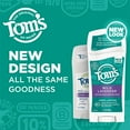 thumbnail image 3 of Tom's of Maine Long-Lasting Aluminum-Free Natural Deodorant for Women, Wild Lavender, 2.25 oz. 3-Pack, 3 of 3
