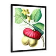 thumbnail image 2 of Designart 'American Vintage Flowers I' Traditional Framed Art Print, 2 of 4