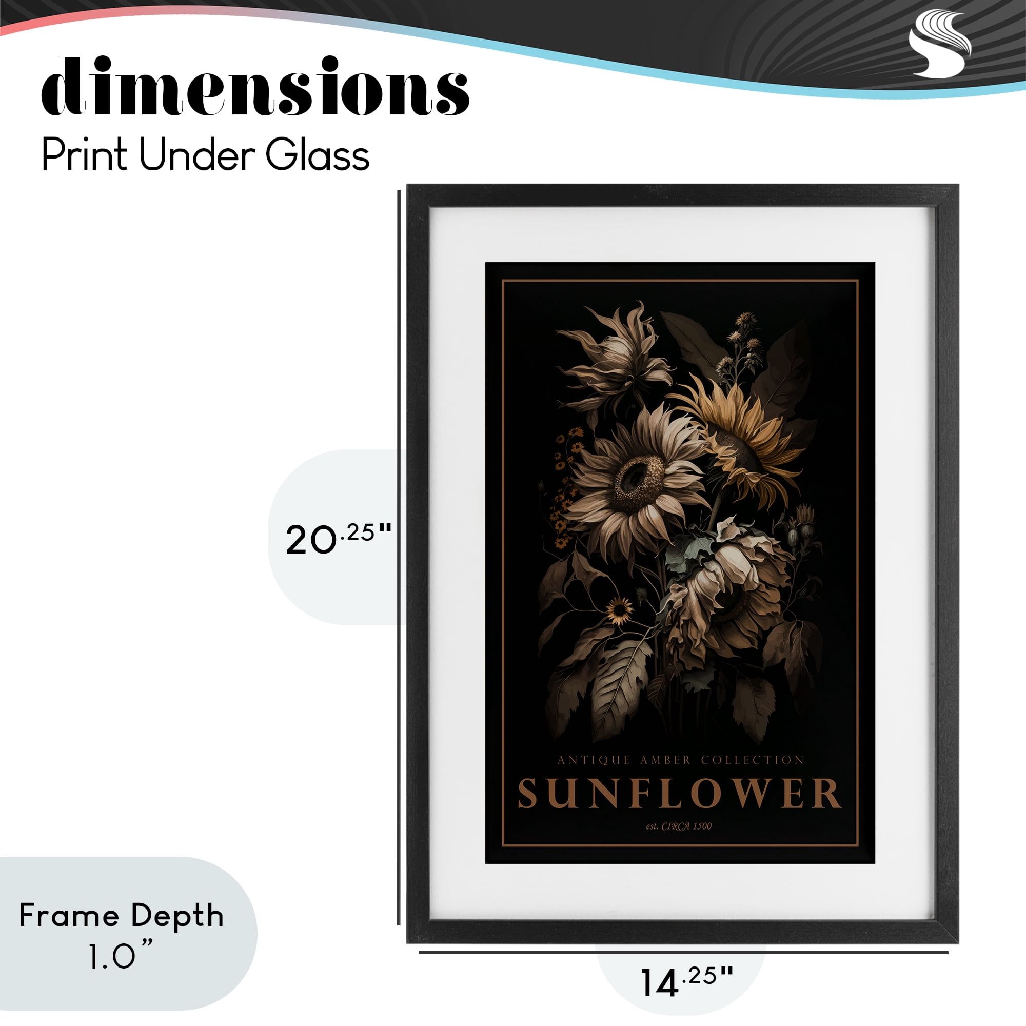 Stupell Industries Antique Sunflower Light Black Framed Print Under Glass, design by Chris Giampietro
