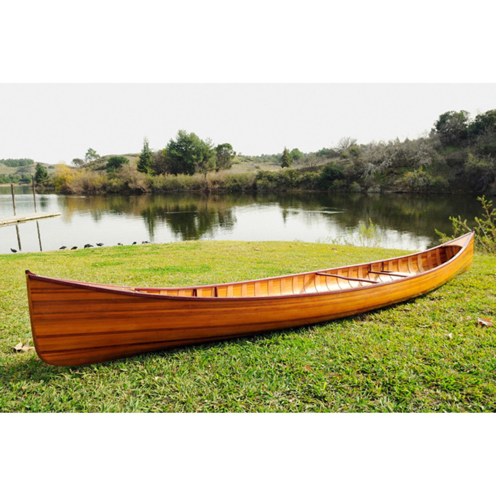 Real Canoe with Ribs 16