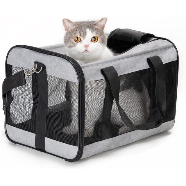 Transportbur för husdjur, mjuk kattbur, hopfällbar, hållbar, flygbolagsgodkänd, resevänlig (42*28*28 cm, grå)