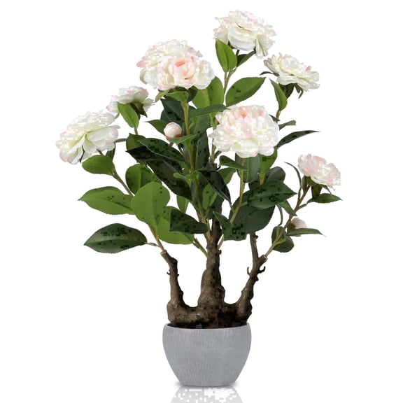 Small Artificial White Camellia Bonsai Tree Decor Tall Faux Blooming Camellia Flowers Tree Potted Plant