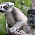 thumbnail image 3 of Technaxx TX-69 Nature Wild Cam Battery Operated Wildlife and Home Monitoring Camera - Green, 3 of 9