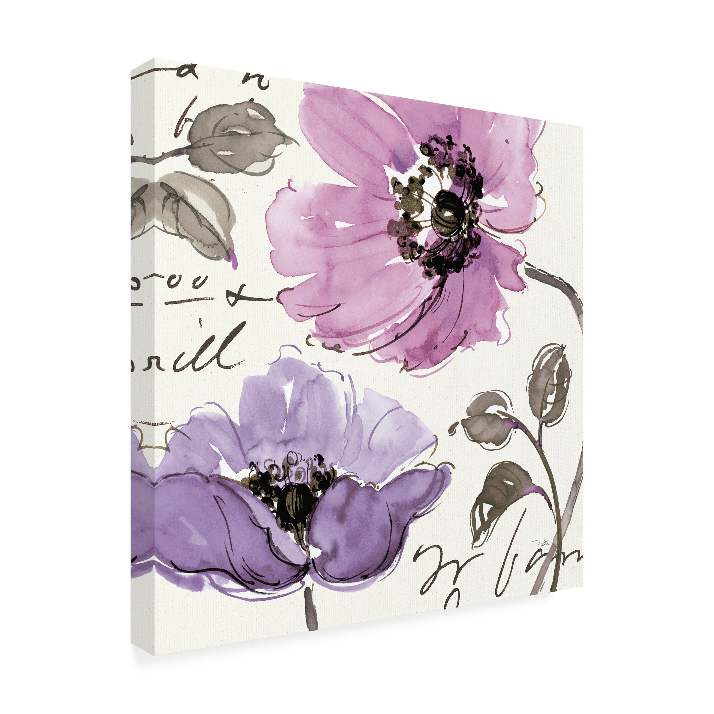 Trademark Fine Art 'Floral Waltz Plum I' Canvas Art by Pela Studio