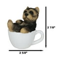 thumbnail image 2 of Realistic Mini Yorkie Teacup Statue 3" Pet Pal Yorkshire Terrier Dog Figurine, 2 of 9