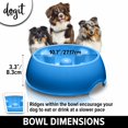 thumbnail image 4 of Dogit Comedero Para Perros Comedero Lento Para Comida Húmeda O Seca Go Slow Plato Para Perros Antigoteo Azul L, 4 of 5