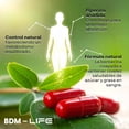 thumbnail image 4 of BDM LIFE Berberina + Piperina con Omega 9, Suplemento Alimenticio, 120 Cápsulas, Bienestar Metabólico y Energía, 4 of 9
