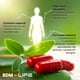 thumbnail image 4 of BDM LIFE Berberina + Piperina con Omega 9, Suplemento Alimenticio, 120 Cápsulas, Bienestar Metabólico y Energía, 4 of 9
