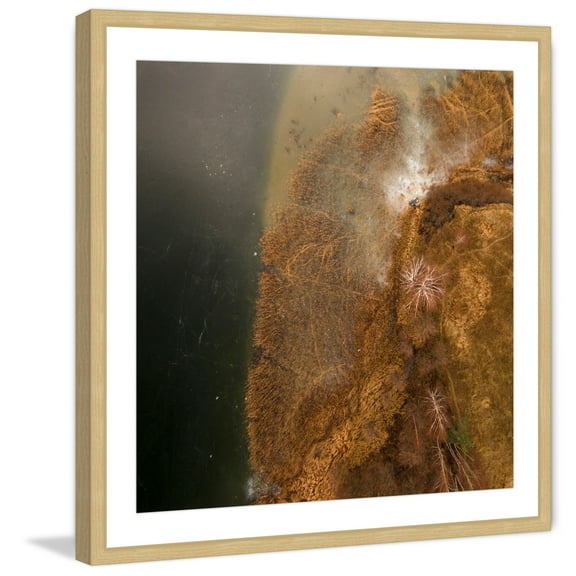 Marmont Hill "Undersea Earth" By Karolis Janulis Framed Painting Art Print, 32.0" x 1.5"