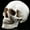 skull_#05, variant on 6.1in Life Size Replica Realistic Human Skull Head Bone Model, Anatomy White Resin Skull High Precision Teaching Tool Halloween Decor