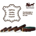 thumbnail image 4 of Durable Leather Dog Collar - Medium Brown with Hunter Green Leather Lining - Soft Strong Domestic Leather with Solid Brass Hardware - Amish Made in The USA (Medium), 4 of 8