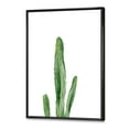 thumbnail image 2 of Designart Green Cactus South Western Plant Botanical Detail FLOAT FRAME WALL ART, 2 of 4