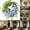 As shown2, variant on Graduation Season Porch Gooses Outfit Set, 23 in Yard, Lawns, Gooses Outdoor Decoration Costumes, Perfect Graduation Party Display for Garden, Patio, Front Porch and Lawn Celebration