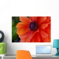 thumbnail image 1 of Beautiful Orange Red Poppy Wall Mural by Wallmonkeys Peel and Stick Graphic (24 in W x 16 in H) WM145543, 1 of 4