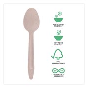 General Purpose Spoon Wood Cutlery - Natural (500/Carton)