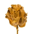 thumbnail image 2 of Vickerman 8" flower Aspen Gold Queen Flower, 1 stem, Dried, 2 of 4