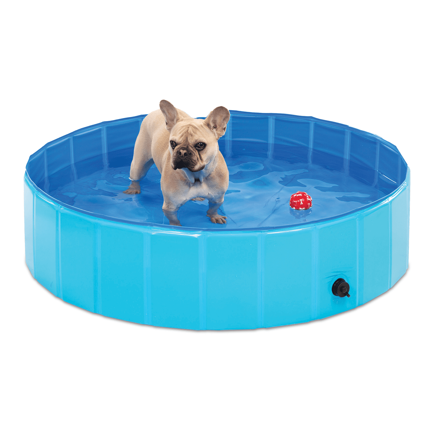 Bundaloo Dog Pool for Medium Dogs Collapsible Foldable Portable