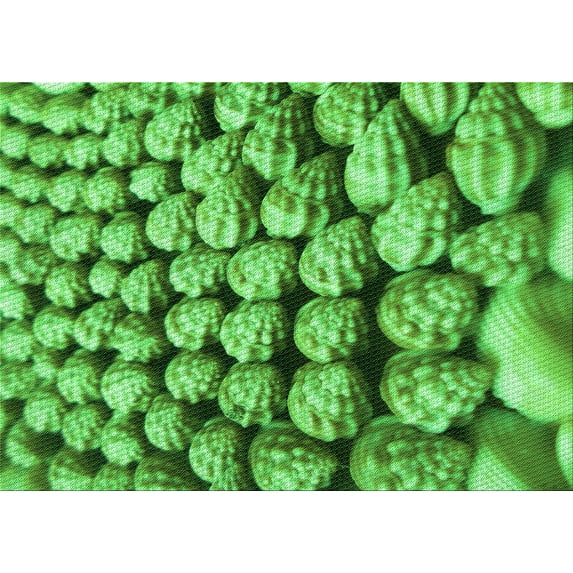 Ahgly Company Indoor Rectangle Patterned Green Area Rugs, 3' x 5'