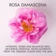 thumbnail image 3 of Tónico facial Alteya Organics, agua de rosas, 240 ml, USDA Organic, 3 of 4