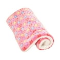 thumbnail image 1 of Methold Alfombrilla gruesa de doble capa para mascotas, suave y cómoda para el amado nido de gato, alfombrilla para arena para perros, arena Perchas para gatos estrella rosa S 35*28, 1 of 6