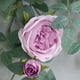 thumbnail image 2 of Flor colgante de rosa artificial para decoración del hogar, la pared y el jardín, 2 of 10