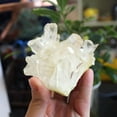 thumbnail image 2 of MATROOY 80g Natural White Crystal Quartz Cluster Specimen Reiki Healing Gemstone, 2 of 5