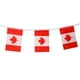 thumbnail image 5 of Bandera de Canadá Bandera de La Secuencia de para La Decoración Del Partido Del Deporte Del Cumpleaños Los 5M Sunnimix Banderas de cadena de la nación de Canadá, 5 of 8