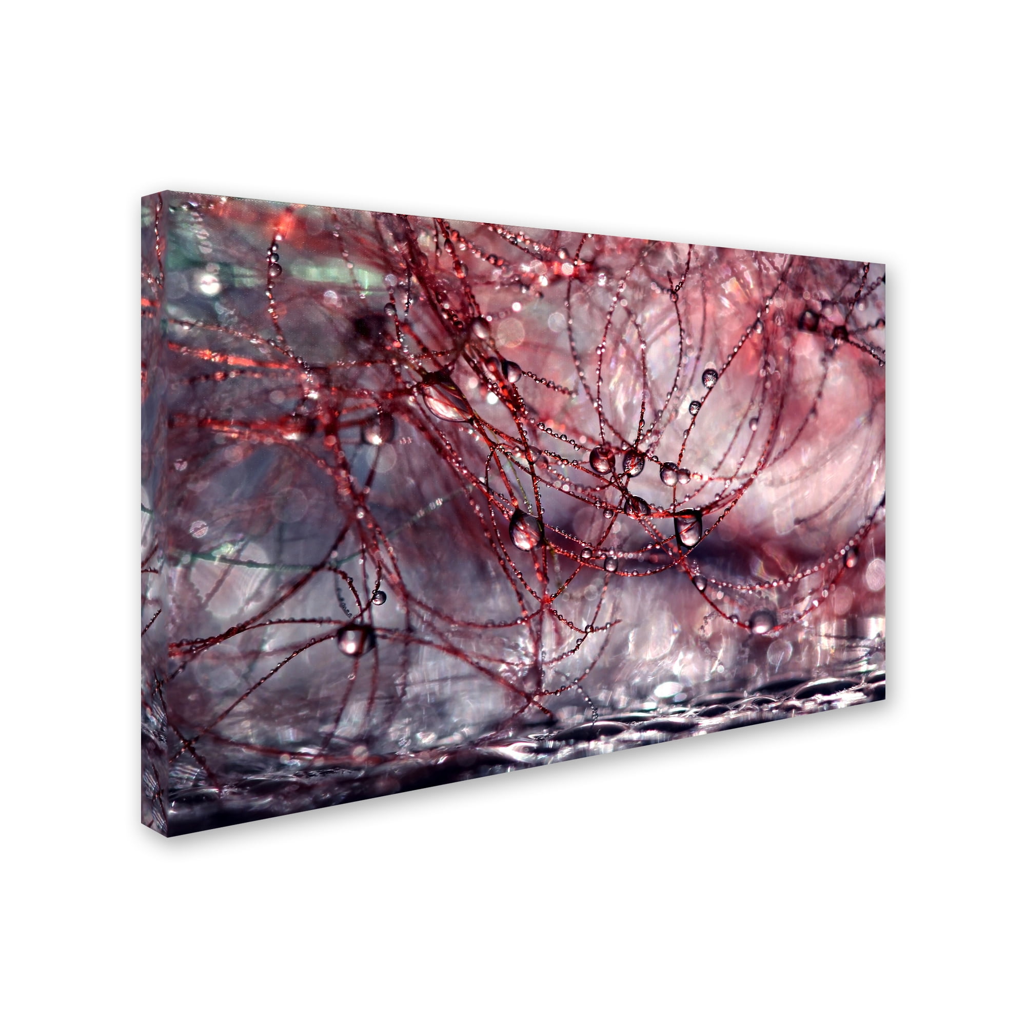 Trademark Fine Art "Life is Not Simple" Canvas Art by Beata Czyzowska Young