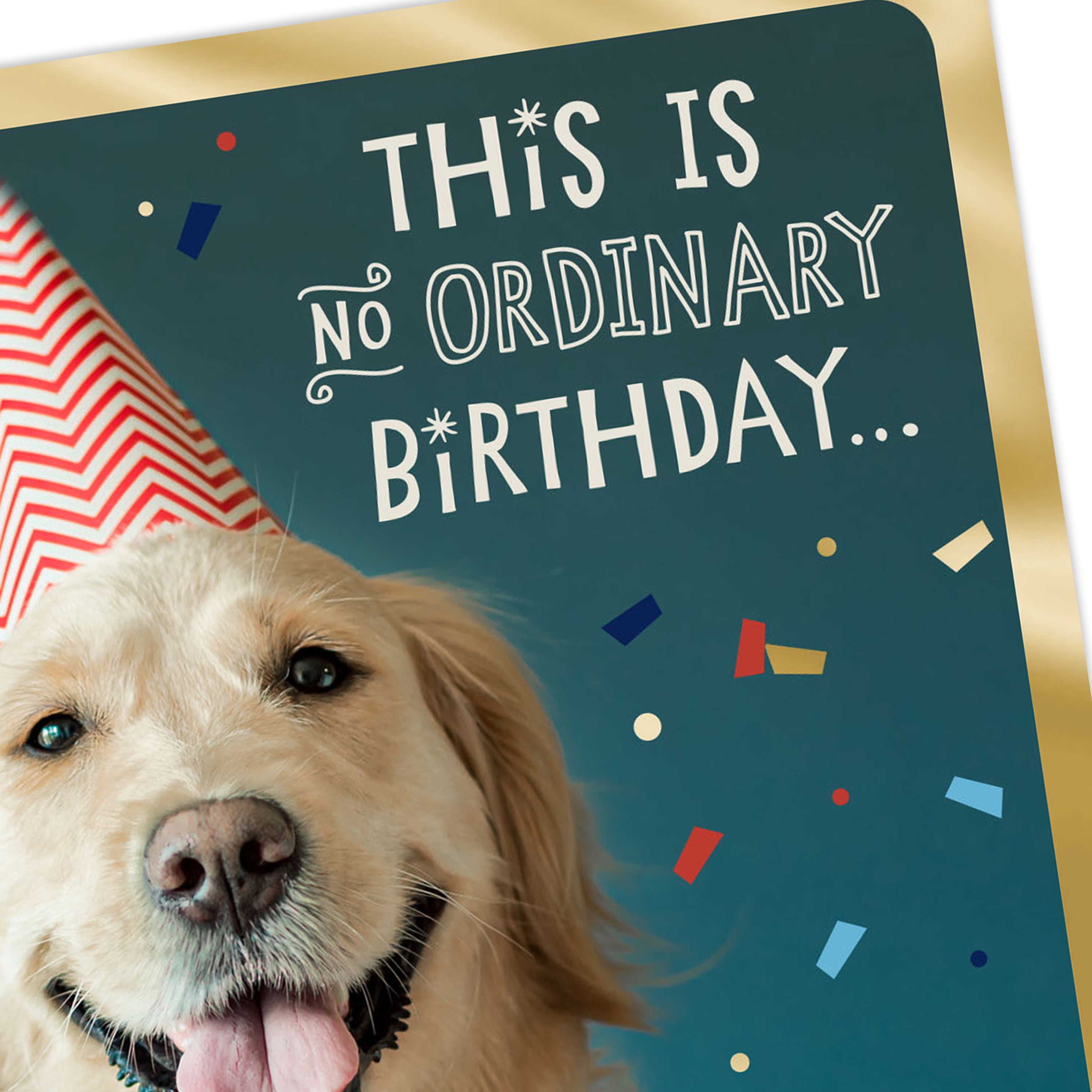 Dayspring Birthday Greeting Card (Dog in Party Hat)