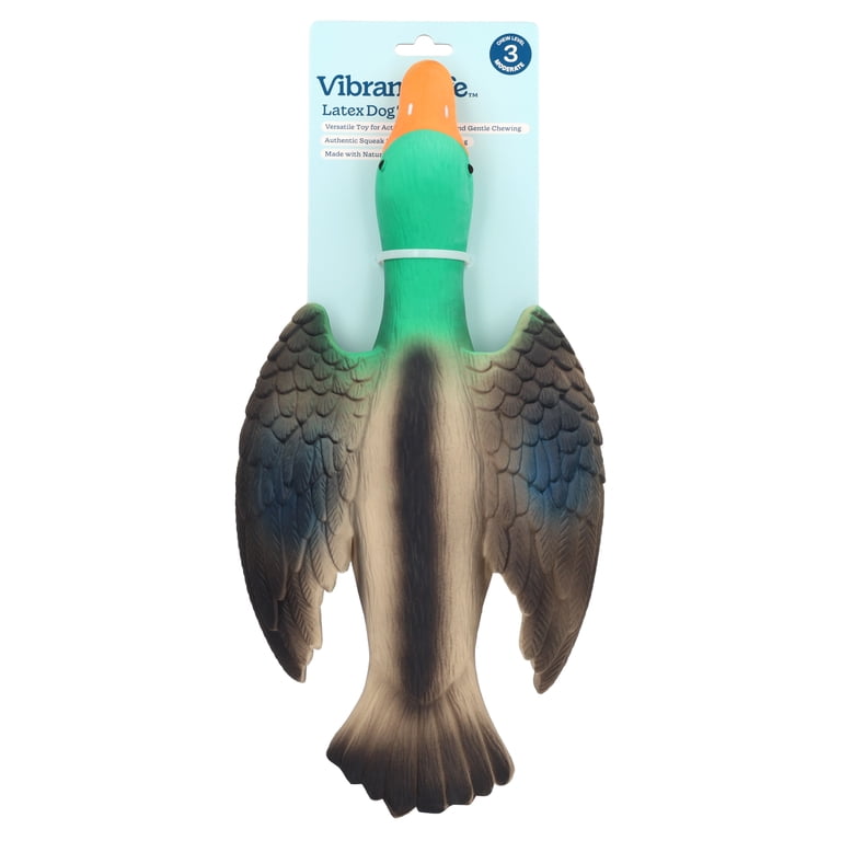 Vibrant Life Multicolor Duck Latex Dog Toy with Squeaker photo 6