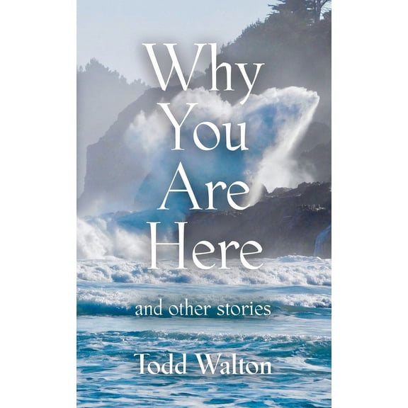 Why You Are Here: and other stories (Paperback)