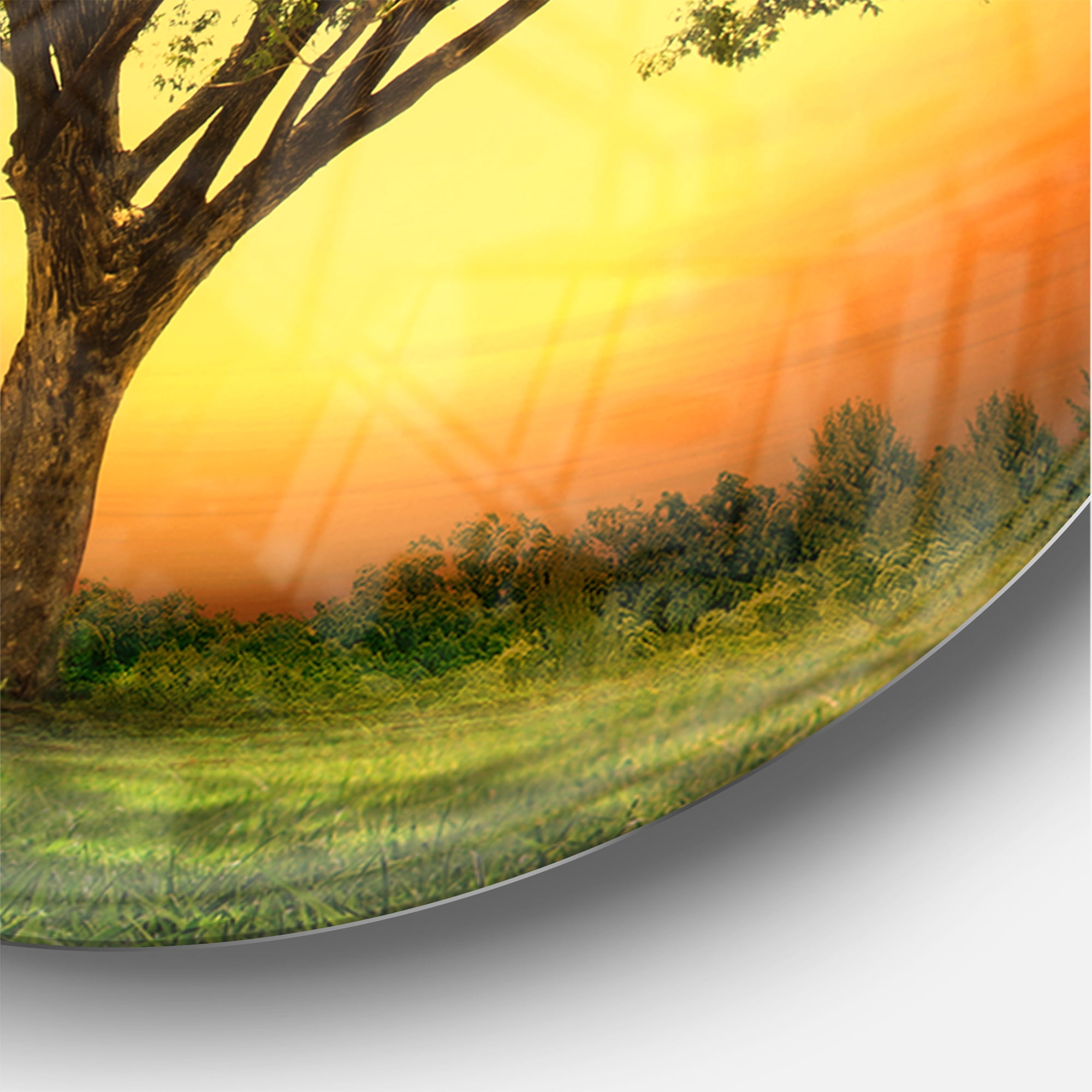 Designart 'Green Tree against Setting Sun ' Modern wall clock