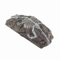 thumbnail image 1 of Decoración Fósil De Dinosaurio Reptil, Adorno Fósil De Dinosaurio De Acuario De Resina Simulación Respetuosa Con El Medio Ambiente Vívido Robusto Hermoso Para El Entorno De, 1 of 7