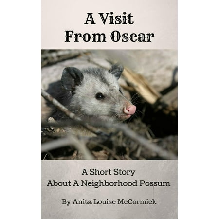 A Visit From Oscar: A Short Story About A Neighborhood Possum - (Best New York Neighborhoods To Visit)