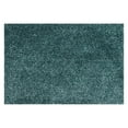 thumbnail image 6 of Loloi Carrera Shag CG-02 Indoor Area Rug, 6 of 9