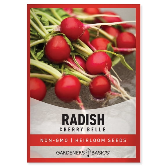 Cherry Belle Radish Seeds