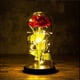 thumbnail image 2 of Romance inmortal, rosa eterna roja en cúpula de vidrio de borosilicato, flor de seda artificial con revestimiento de arcoíris y luces LED, crea una decoración acogedora e íntima para el hogar, regalo, 2 of 5