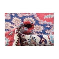 thumbnail image 3 of Hand Knotted Royal Kazak Wool Rug - 5'1'' x 6'8'', 3 of 7